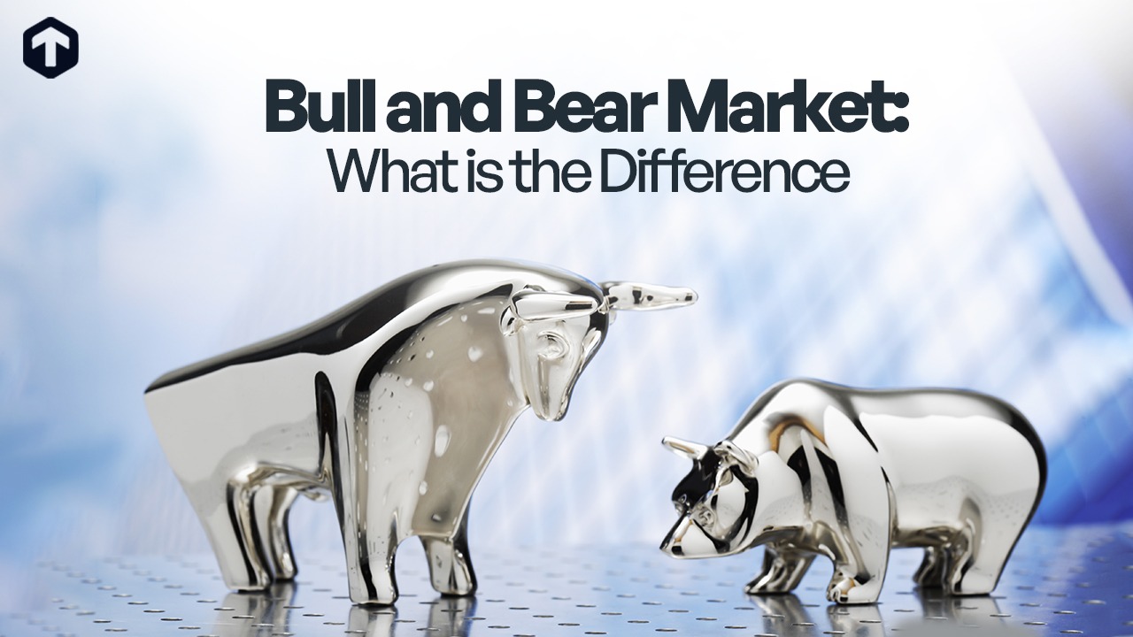 bull and bear market
