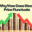 why does stock prices fluctuate