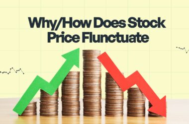why does stock market price fluctuate?