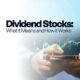 dividend stocks