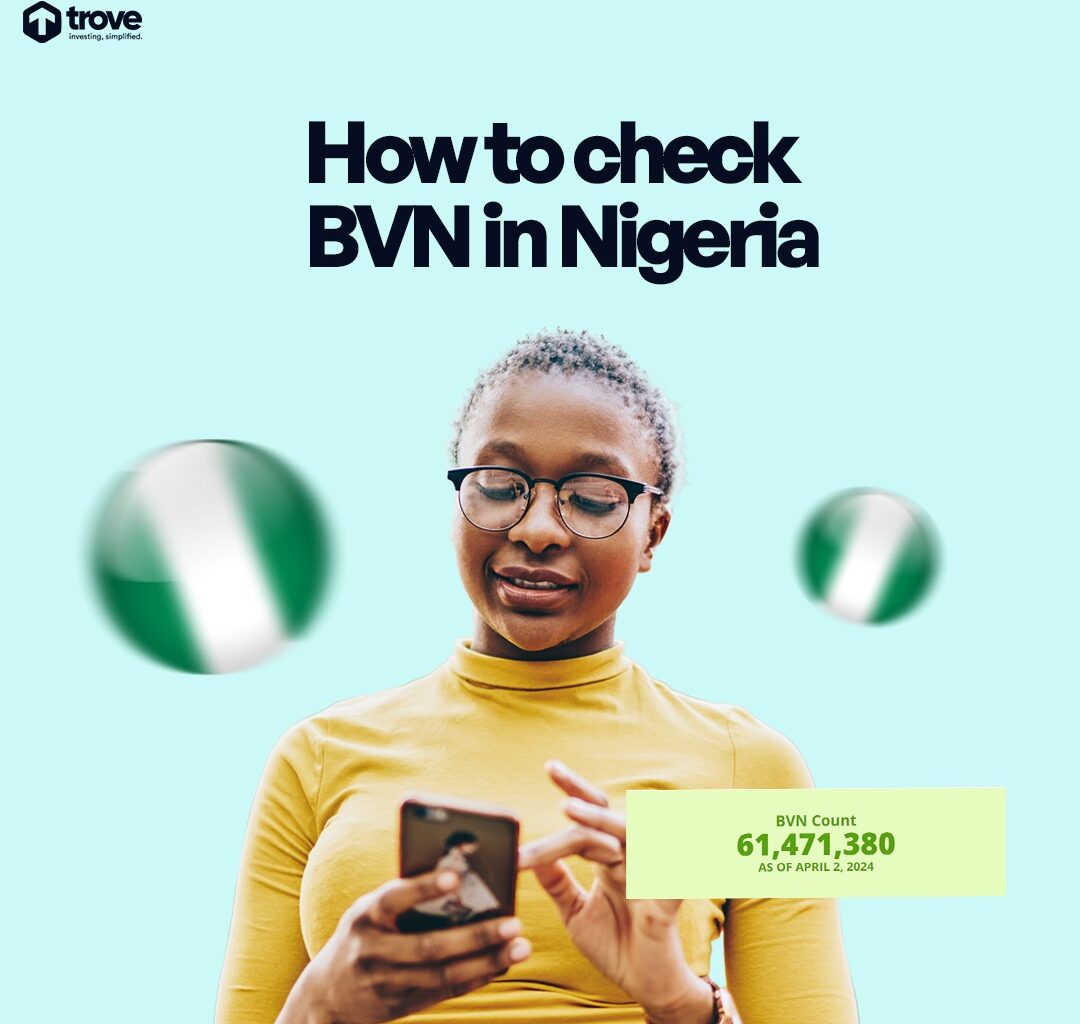 how to check bvn in nigeria