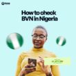 how to check bvn in nigeria