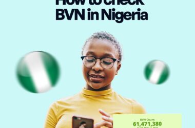 how to check bvn in nigeria