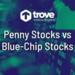 penny stock vs blue-chip stocks