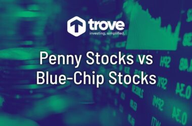 penny stock vs blue-chip stocks