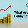 what are penny stocks