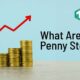 what are penny stocks
